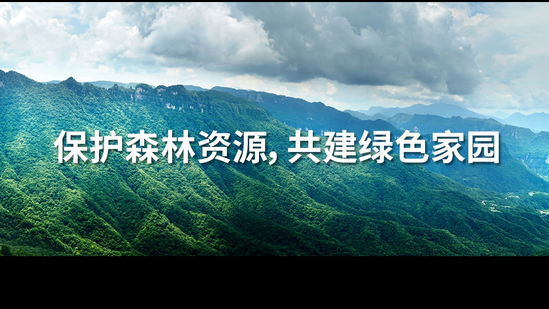 金鹰为您解答森林资源进行资产评估的重要性！