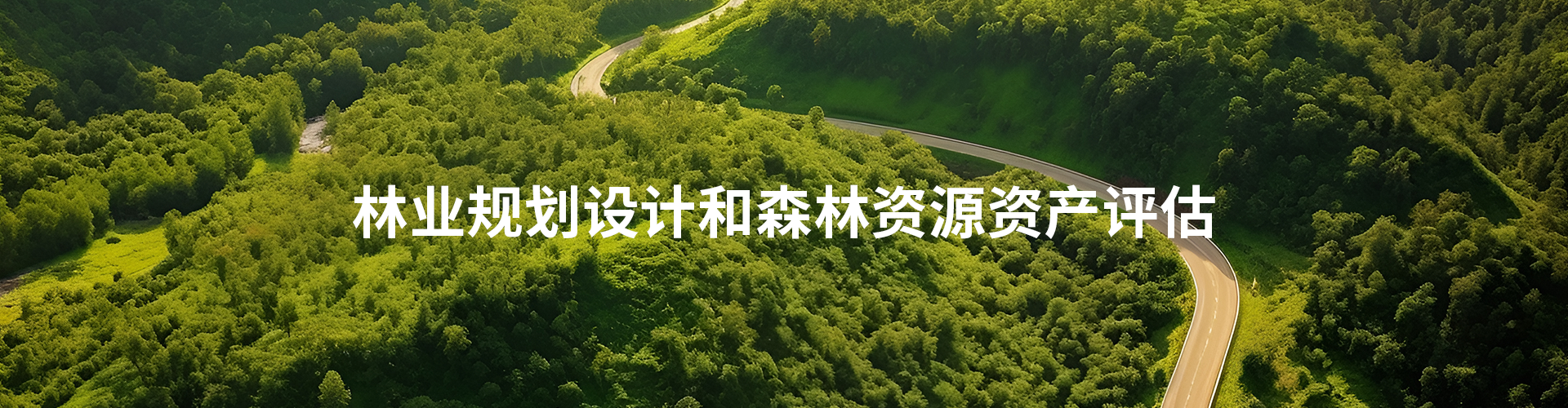 一文搞懂林木资产价格评估需要的6项数据分别是哪些